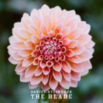 Daniel Steinbock - The Blade